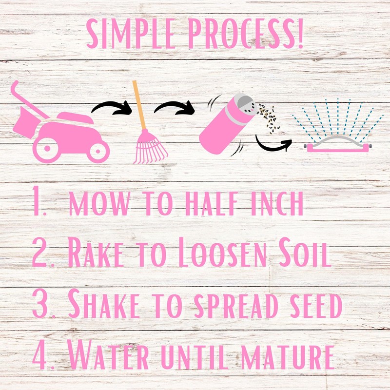 Flawn Seed Kits Creeping Thyme Seed Kit, Easy Spread Shaker