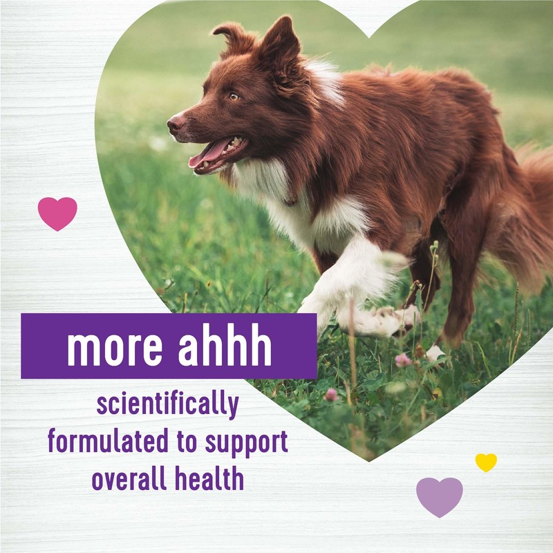 Wellness Peanut Butter & Apple Flavored Soft Chews Multi-Benefit Supplements