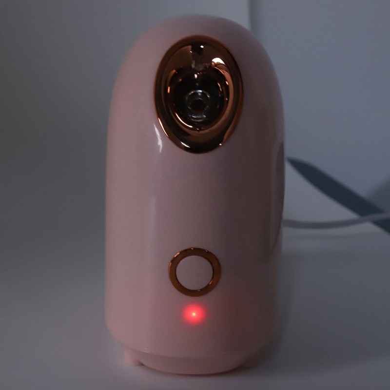 Facial Steamer Moisturizing with 100ml Water Tank Deep Cleaning Fine