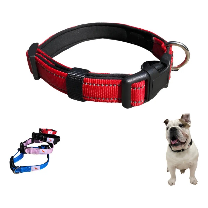 Vulpez Collar Perro Acolchado Ajustable Paseo Colores Gato