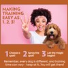 OUT! Go Here Dog Attractant, Pet Potty Training Spray, Indoor