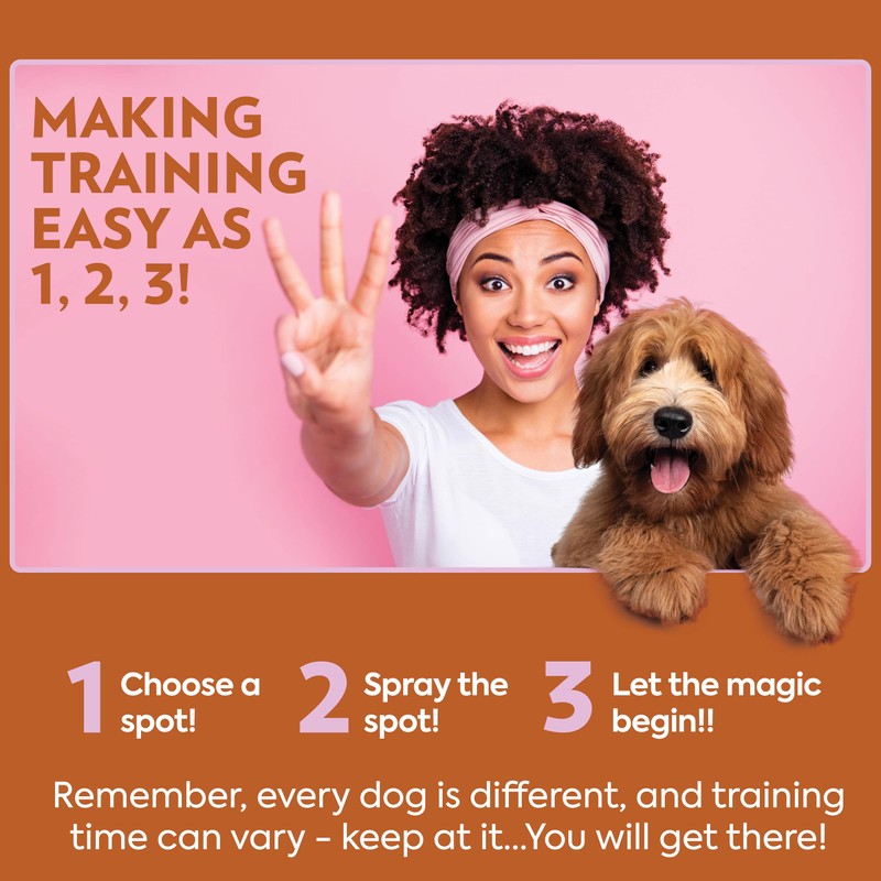 OUT! Go Here Dog Attractant, Pet Potty Training Spray, Indoor