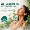 30 Pack Shower Steamers Aromatherapy, Eucalyptus Mint Shower Bombs for