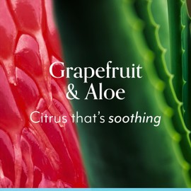 Bliss Body Butter - Grapefruit and Aloe - Maximum Moisture Cream - 6.7 Fl Oz - Body Lotion for Dry Skin - Long-Lasting Moisturizer for Women & Men - Vegan and Cruelty-Free