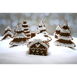 Mini Gingerbread House Cutter