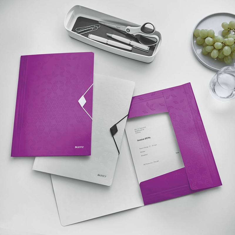 Leitz Esselte Leitz Wow Folder, A4, Polypropylene
