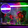 SAVITA 20 Pcs Aquarium Suction Cups Fish Tank Suction Hooks