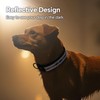 QQPETS Reflective Dog Collar with Soft Neoprene Padded Breathable Nylon