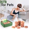 ecoKiwi Cedar Blocks for Clothes Storage - 28 Pack Cedar
