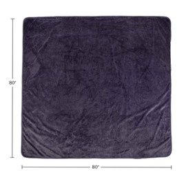 Lavish Home Waterproof Blanket - 80x80 King-Size Blanket for Kids, Pets, and Outdoors - Throw for Bed, Couch, Chair and Car (Purple)