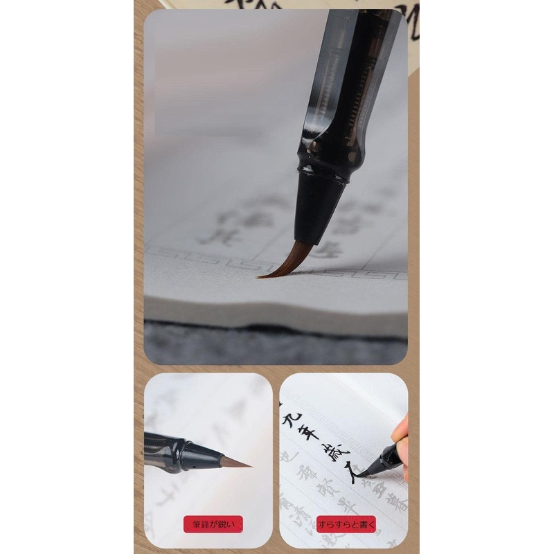 Isshinsai Fountain Pen Re-inkable, Screw Type, Black Brush Pen, Fine