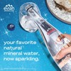 evian Sparkling Carbonated Natural Mineral Water 330ml Glass Bottle, Case
