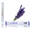 Heart & Wilson Pluma Nail Pen Cutícula Aceites Esenciales +