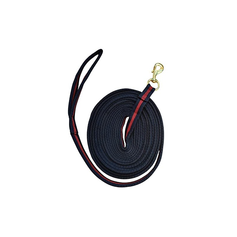 Soft Padded Lunge Line Rein Lead for Horses 27ft Looped