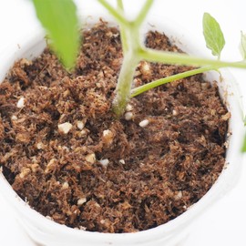 Yilotuce 2 Quarts Lightweight Tomato Potting Soil, Premium Potting Soil Outdoor and Indoor, Long-Lasting Moisturisation and Fast Drainage