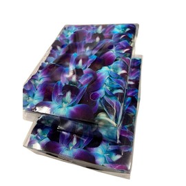 Eflowerwholesale Fresh Orchid Loose Bloom PERISHABLE flowers DIY lei, food & drink decoration (100 Purple)