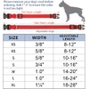 Taglory Reflective Adjustable Dog Collars for Puppy Small Medium Large