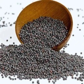 Mustard Indian Mustard Seeds (200) / ORGANIC / CULINARY SEEDS