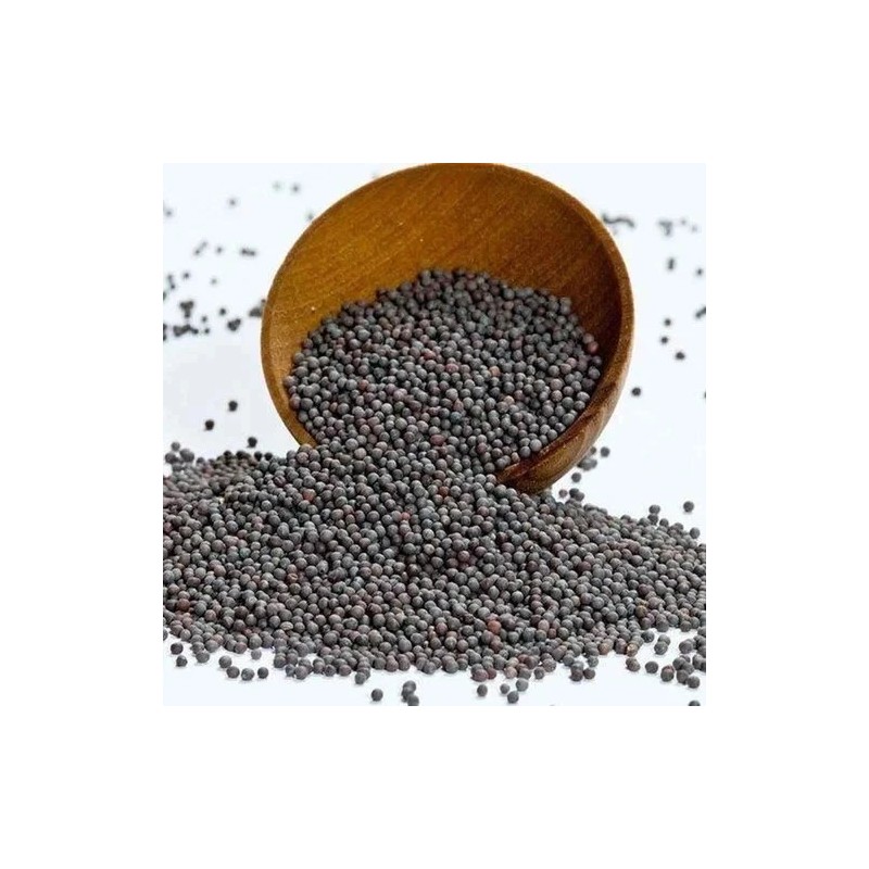 Mustard Indian Mustard Seeds (200) / ORGANIC / CULINARY SEEDS
