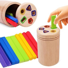 Montessori Wooden Stick Color Sorting Toys for 3 Year Old,Preschool Learning Activities Educational Fine Motor Matching Game,Birthday Gifts for Boys Girls - Color: Geometric Stick