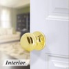 Probrico Passage Door Knobs Polished Brass Interior Hall/Closet Door Handles