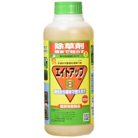 G.S Eight Up 16.9 fl oz (500 ml)