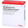 Streptococcus Haemolyticus Injeel Liquid Dilution Pack of 10 Ampoules