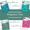 Earth Mama Organic Ginger Nausea™ Tea | Comforts Occasional Nausea