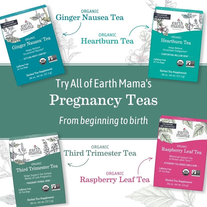 Earth Mama Organic Ginger Nausea™ Tea | Comforts Occasional Nausea