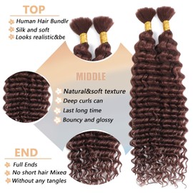 Human Braiding Hair 2 bundles Deep Wave Bulk Human Hair For Braiding No Weft Brown Curly Human Hair 100g 16 Inch Wet And Wavy Human Hair Braiding Hair For Boho Braids