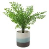 Leaf Ceramic Planters, Blue Stripe, 12cm