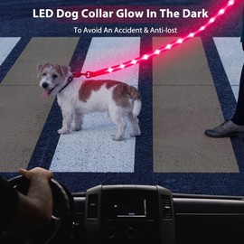 Candofly Reflective LED Dog Leash - Glow in The Dark Dog Leash Lighted Dog Lead 4 Ft USB Rechargeable Glowing Dog Leash for Small/Medium/Large Dogs (Hotpink)