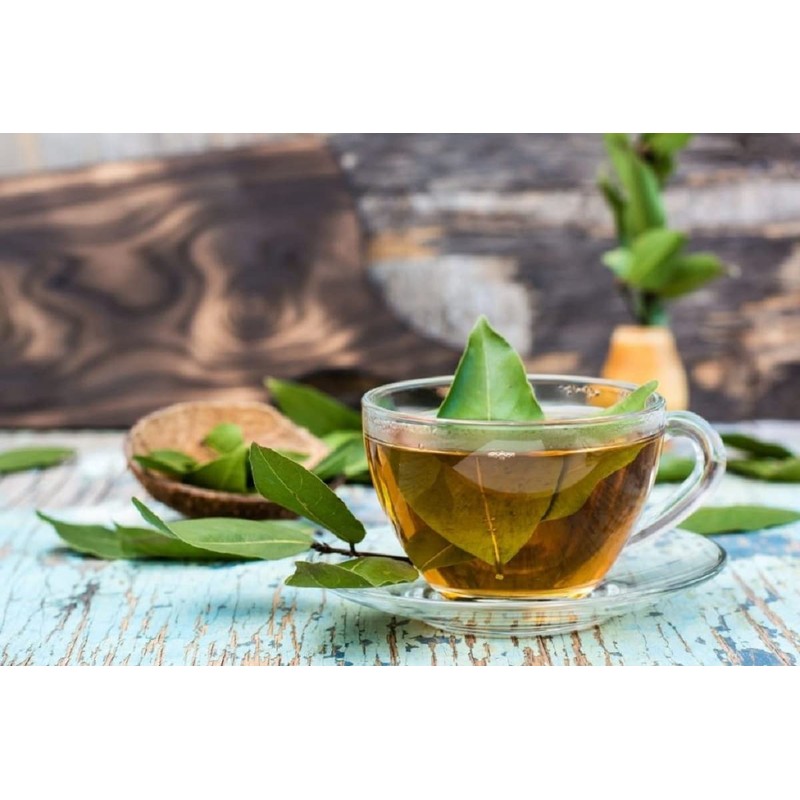 Swẹẹt Bay Leaf Plạnt Lịvẹ – Bay Laurel Trẹẹ –