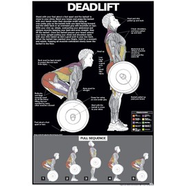 ALGRA Deadlift Poster Instructional Charts (18" x 24", Black/Dark Grey)