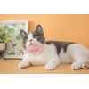 Deetenks Cat Collars 19 Pack Footprint Cat ID Collars Adjustable