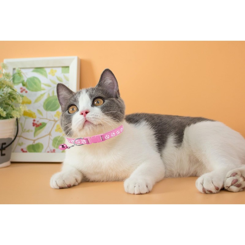Deetenks Cat Collars 19 Pack Footprint Cat ID Collars Adjustable