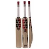 SS Gutsy Cricket Bat - Kashmir Willow Cricket Bat