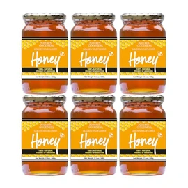 Nature's Goodness Golden Wildflower Honey in Glass Jar - Pure Real Honey for Tea, Baking & Cooking - 17.6 Oz (6 Pack) - 6.6 Pound Total