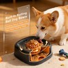 RAINWOOD Liquid Slow Feeder Dog Bowl with Floating Ball, Dog