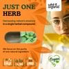 Wild & Organic Wild & Organic Stinging Nettle Leaf Capsules