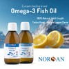 NORSAN Omega-3 Arktis Fish Oil – High-Potency 2,000 mg EPA