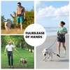 Hands Free Dog Leash for Medium Dogs - Adjustable Running