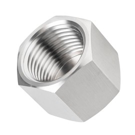 Goldpea Stainless Steel 304 Hex End Cap 1/4" NPT Female Pipe Fitting 2pcs