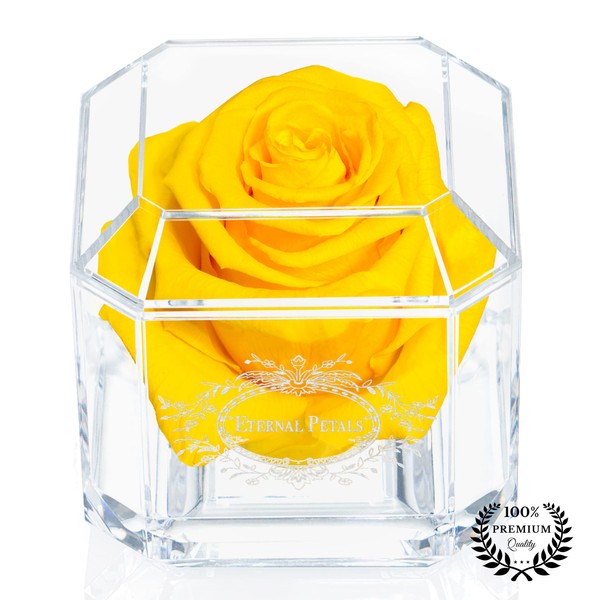A 100% Real Rose That Lasts Years - Eternal Petals,