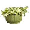 Elho Vibes Fold Bowl 25cm Vasi per Piante - Verde