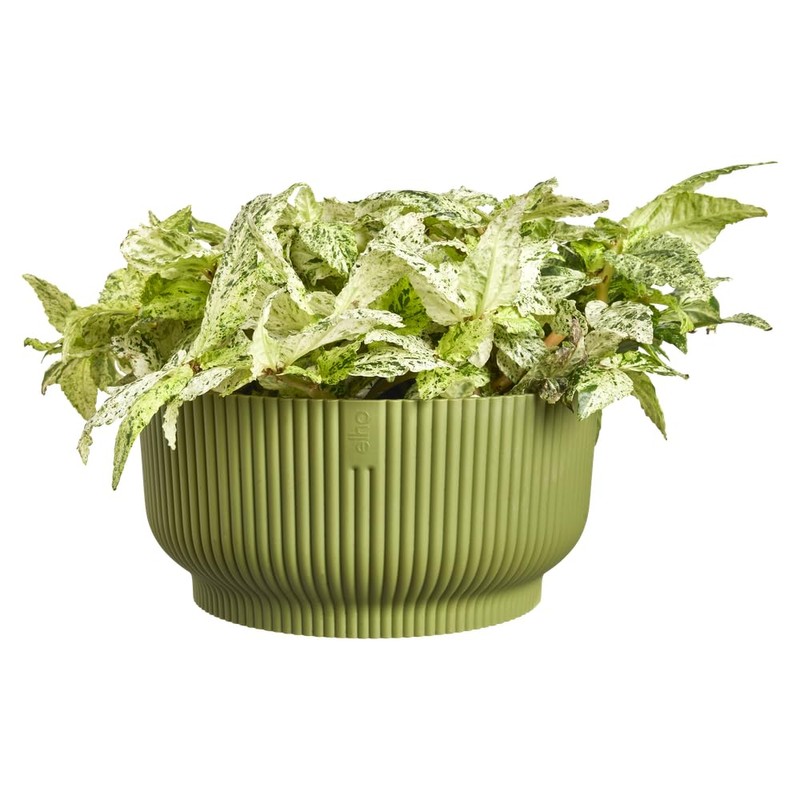 Elho Vibes Fold Bowl 25cm Vasi per Piante - Verde