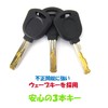 Gorin G227W Wire Lock, φ0.5 x 23.6 inches (12 x