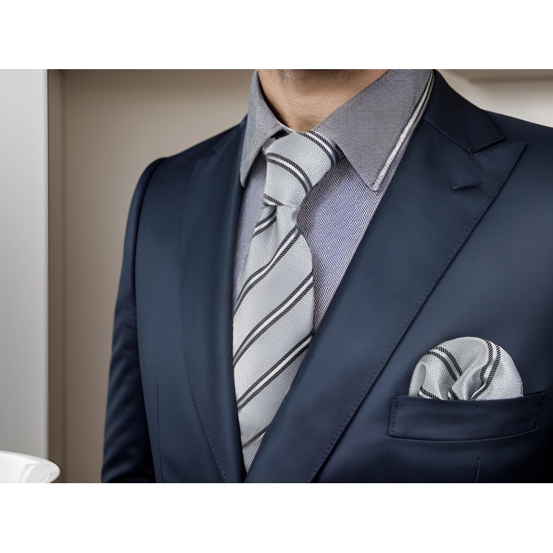 S&W SHLAX&WING Striped Men's Ties Grey with Silver Black Stripes