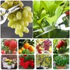 HyleJhJy Pruning Shears with Stainless SK5 Steel Blades+Straight Tip Gardening