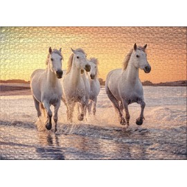 Ulmer Puzzleschmiede - Horse Puzzle Camargue Horses - Classic 500 Piece Animal Puzzle - The White Horse in the Wild in Camargue, Provence, South France